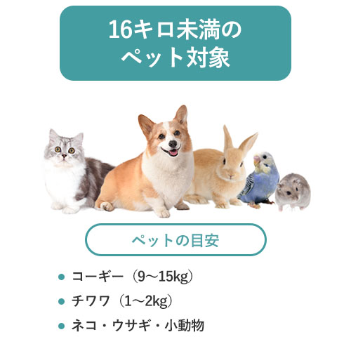 O2C-UNI-S3