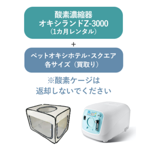 r-z3000square