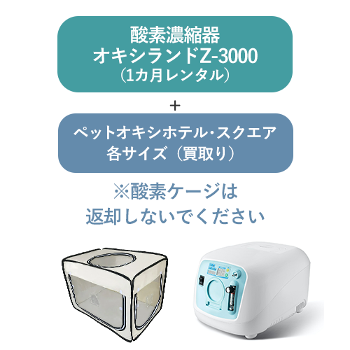 r-z3000square