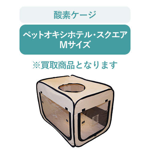 r-s3oxsquare-m