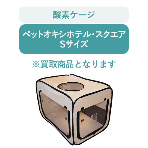 r-s3oxsquare-s