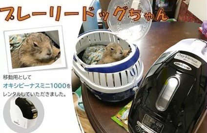 ペット用　酸素濃縮器 OxyVenus Mini-1000＋酸素濃度計 ペットの在宅酸素室レンタル｜酸素濃縮器・酸素カプセル販売｜ユニコム