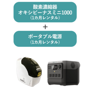 r-mini1000power