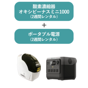 r2w-mini1000power