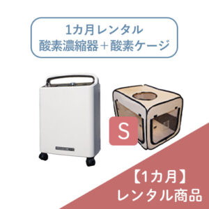 r-s3square-s