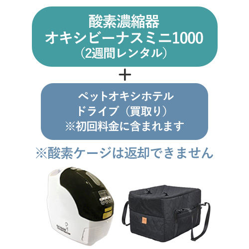 r2w-mini1000drive