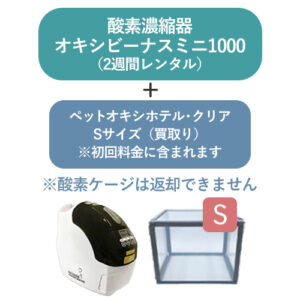 r2w-mini1000clear-s