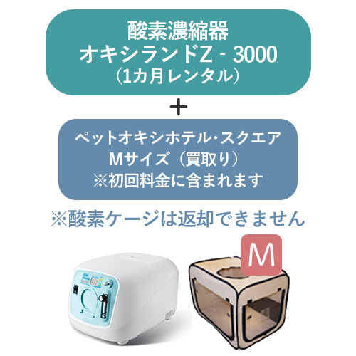 r-z3000square-m
