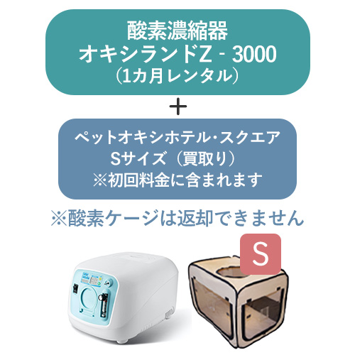 r-z3000square-s