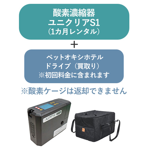 r-s1drive