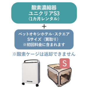 r-s3square-s