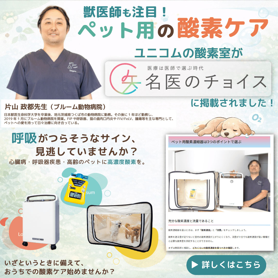 名医のチョイス